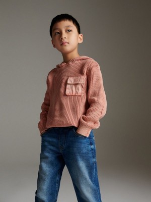 Reserved Mit Kapuze Pullover Jungen Rosa | OQH-641279