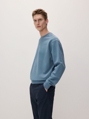 Reserved Plain Sweatshirts Herren Grau Blau | WUN-719463